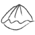 shell.here